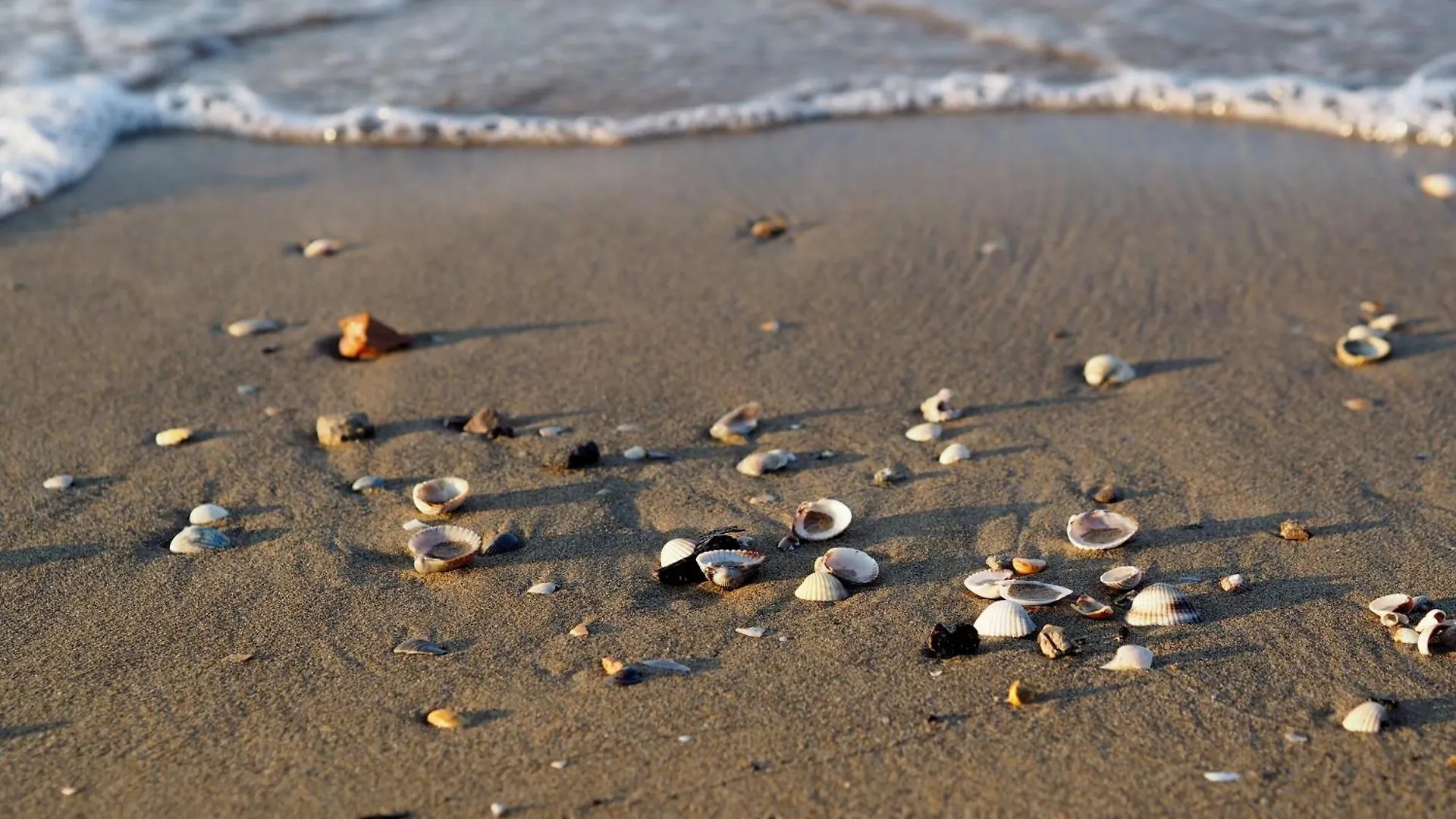 Wonderful Apartment Close To The Beach Bibione Itálie